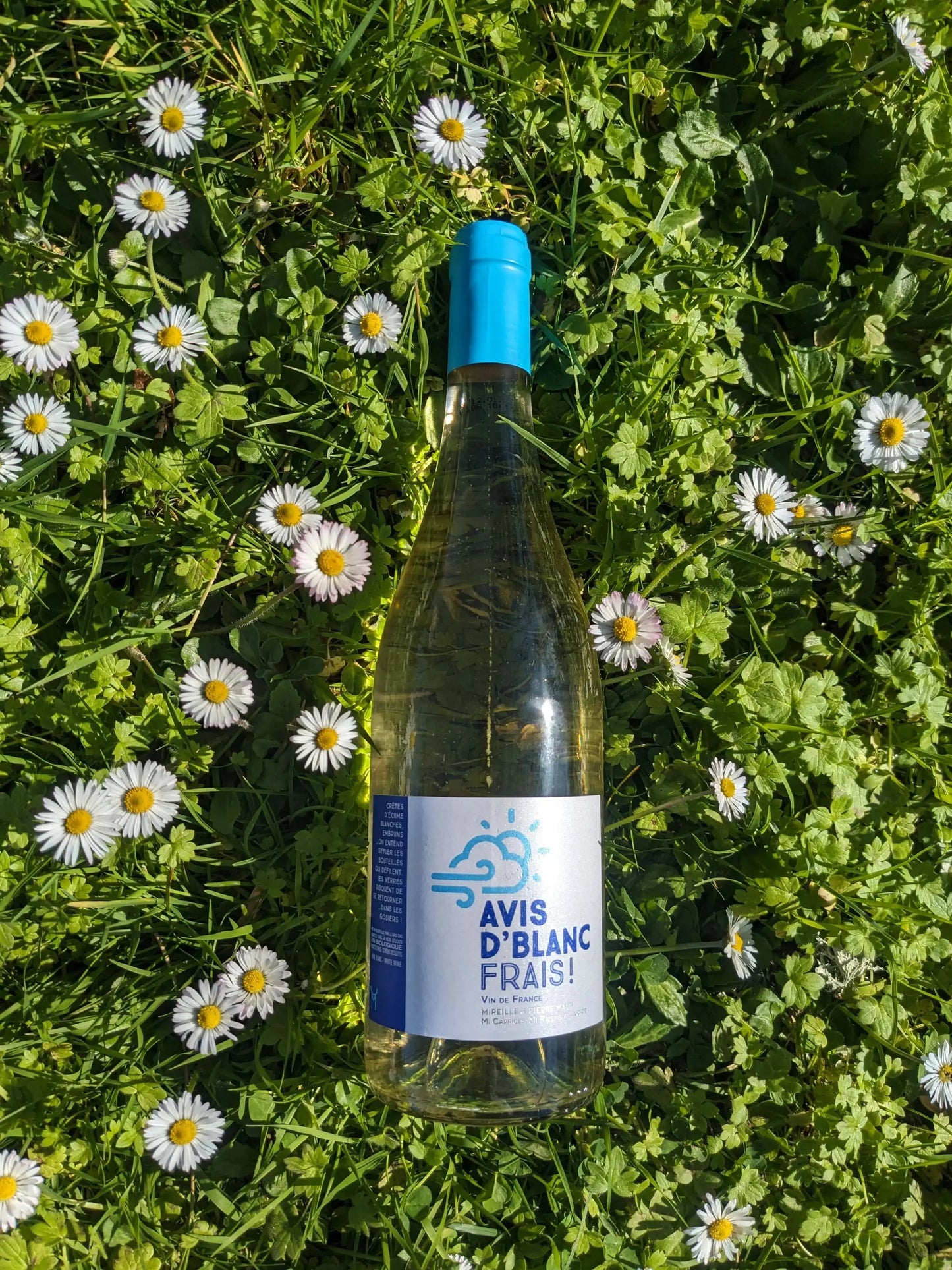 AVIS D'BLANC FRAIS MAS DES CAPRICES