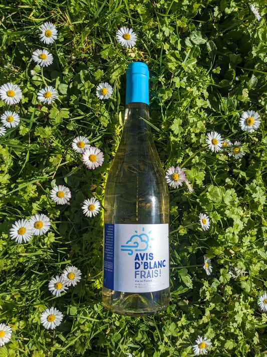 AVIS D'BLANC FRAIS MAS DES CAPRICES