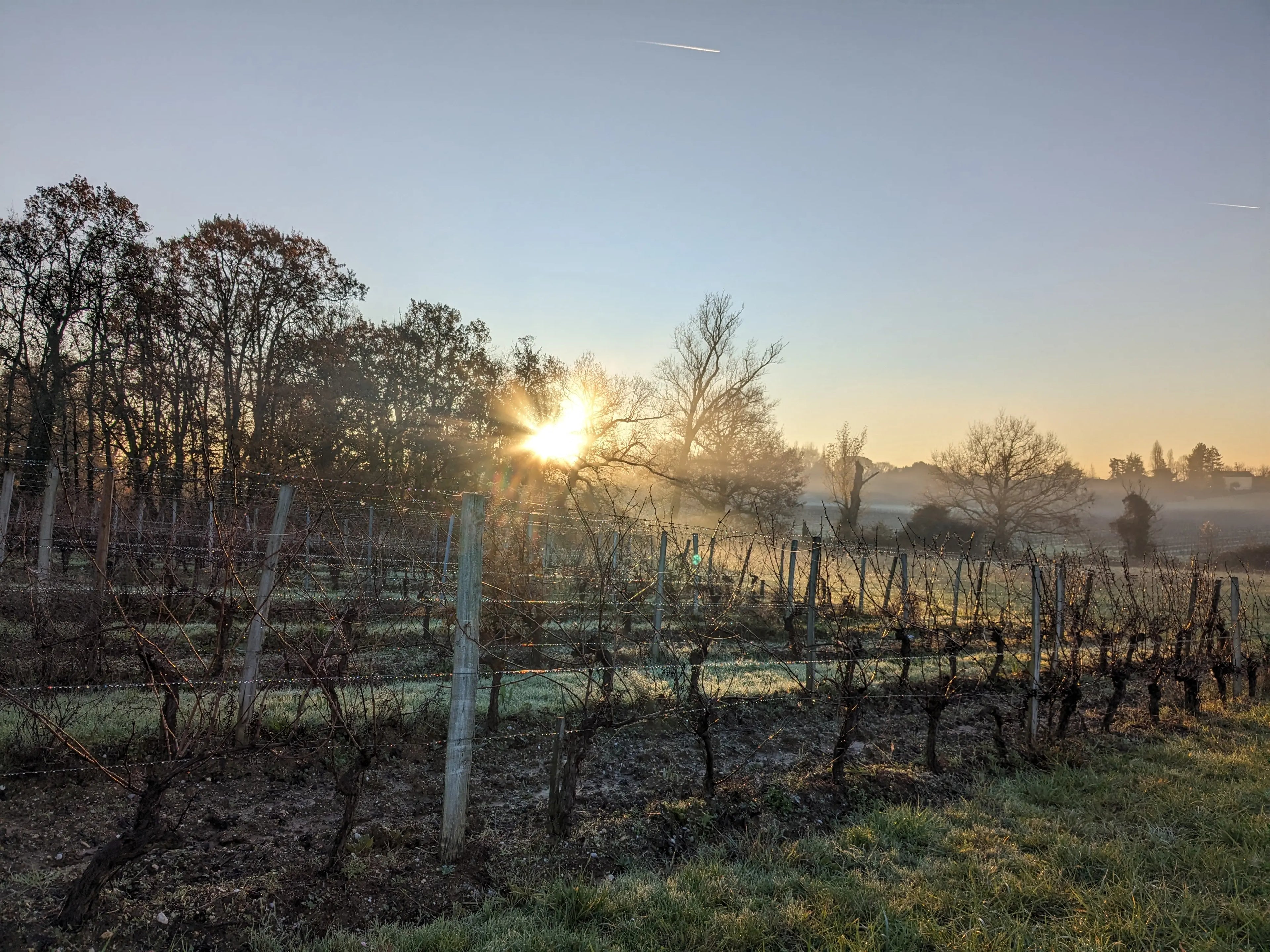 SÉLECTION D'HIVER - PIF! La cave