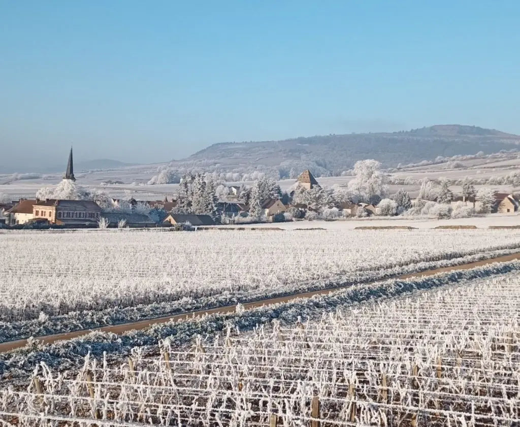 DOMAINE BONNARDOT - PIF! La cave