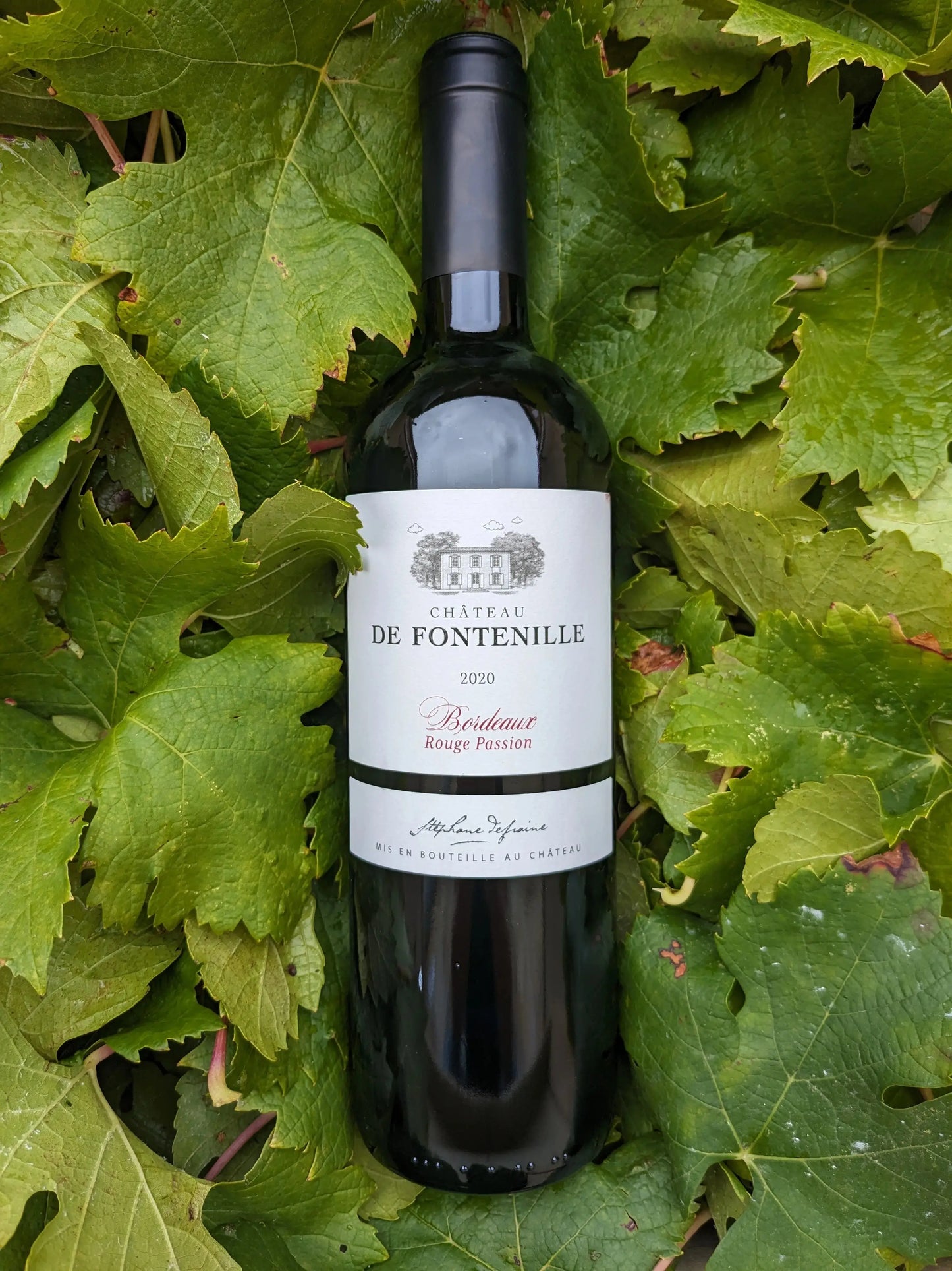 BORDEAUX PASSION CHATEAU DE FONTENILLE
