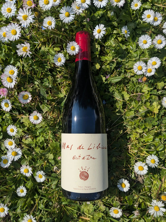 BOUT D'ZAN MAS DE LIBIAN