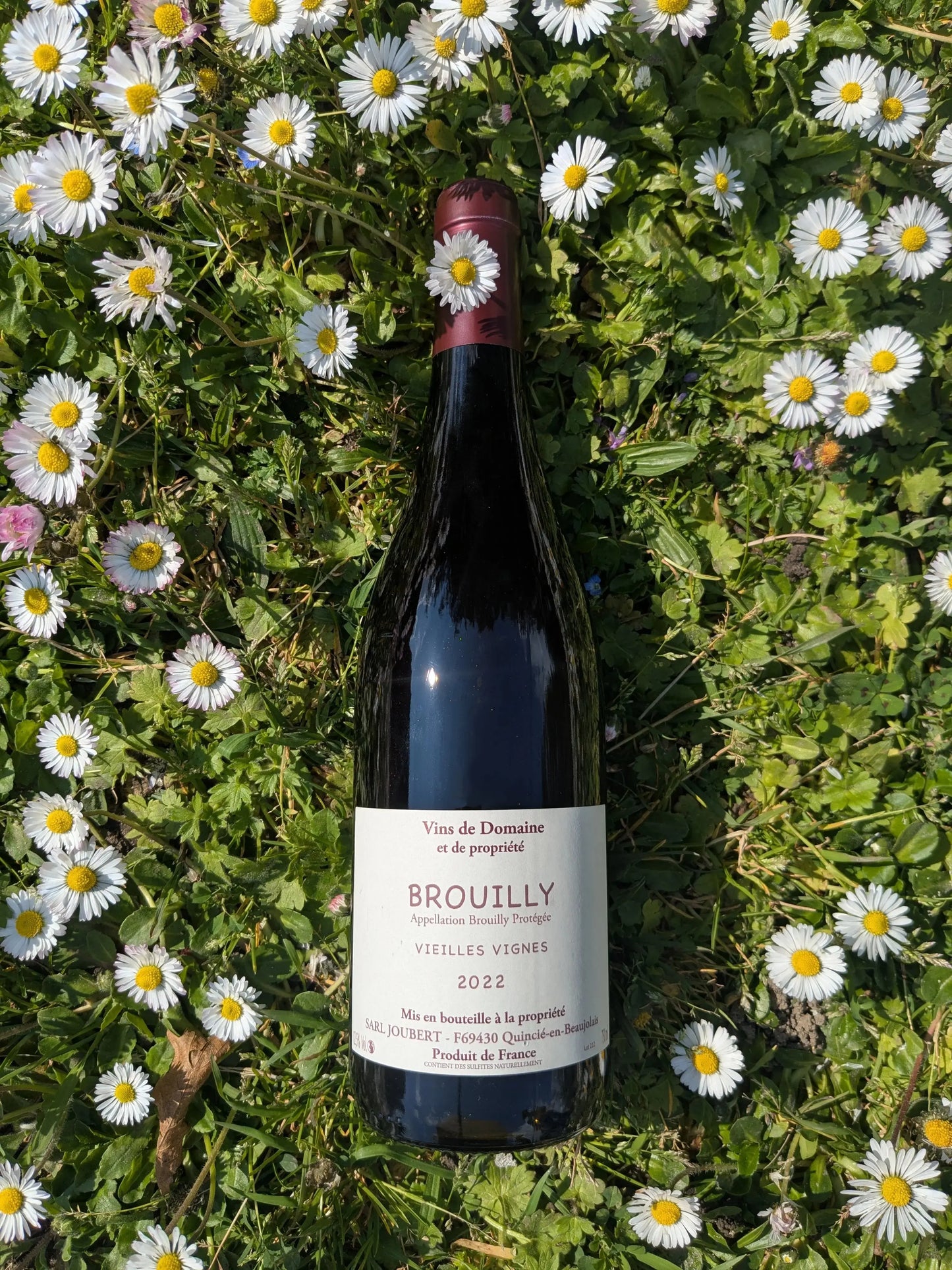 BROUILLY VIEILLES VIGNES DOMAINE JOUBERT