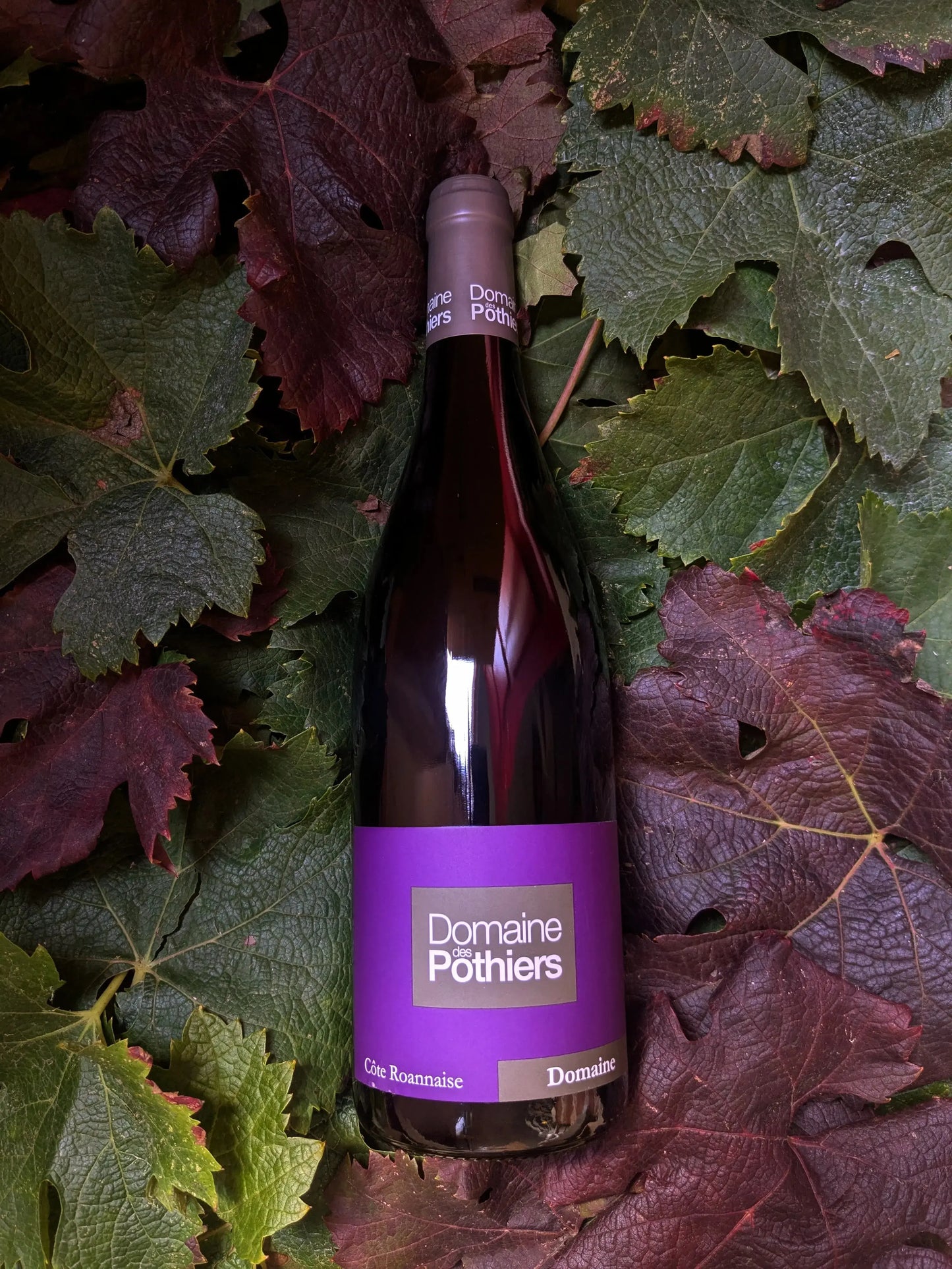 CUVÉE DOMAINE DOMAINE DES POTHIERS