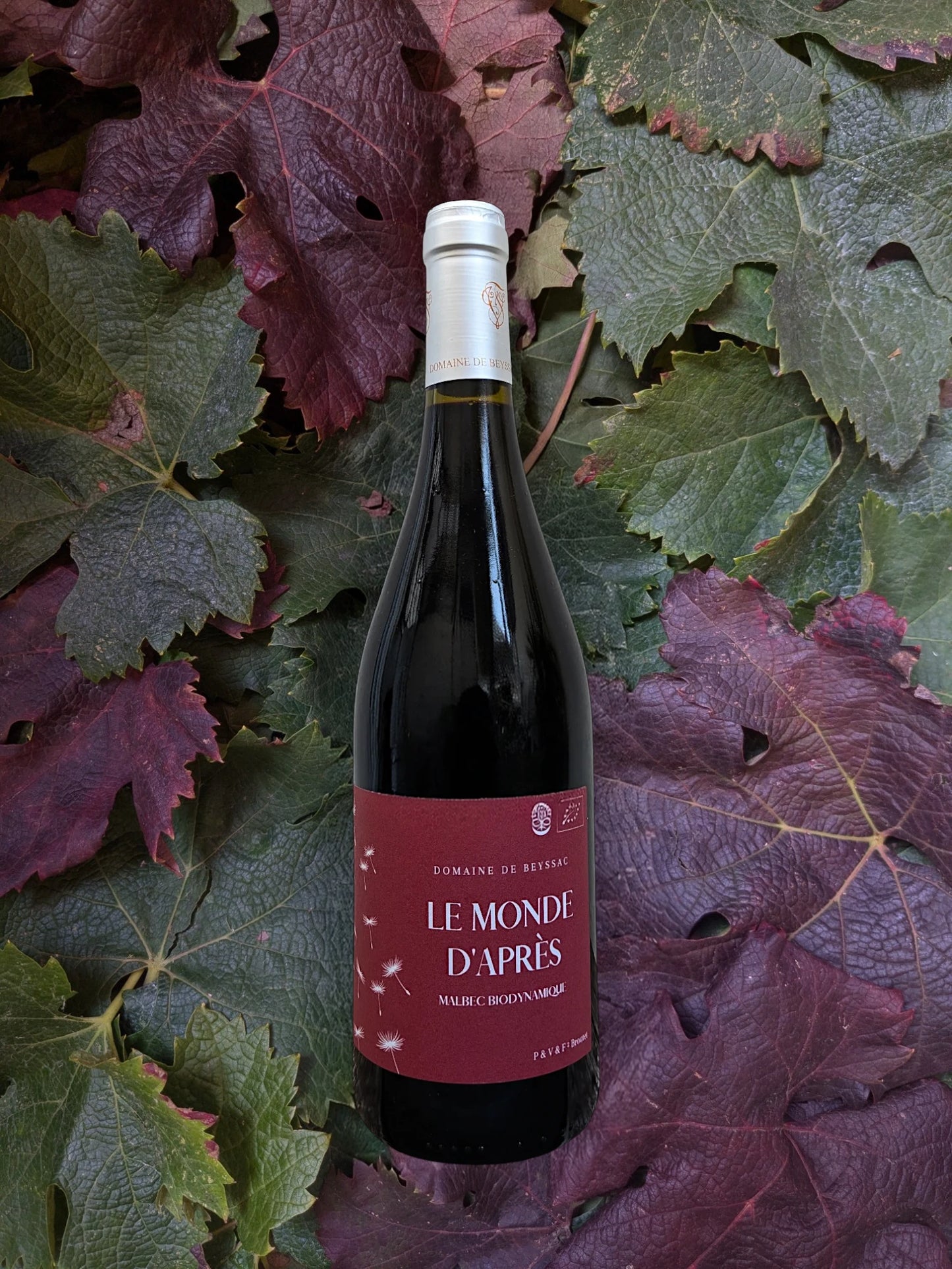 LE MONDE D'APRÈS MALBEC