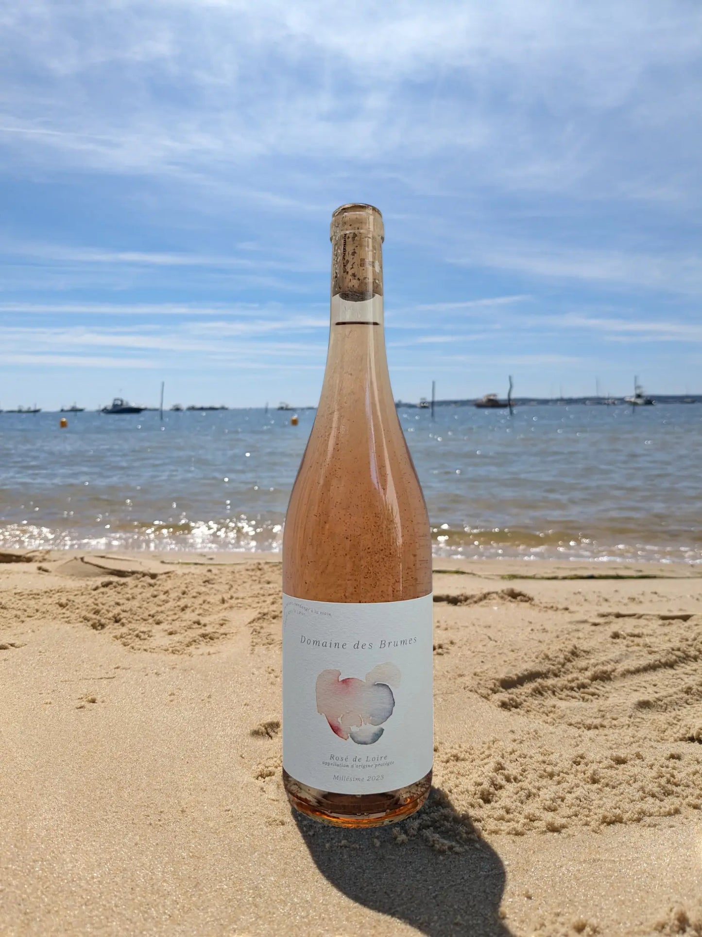 ROSÉ DE LOIRE
