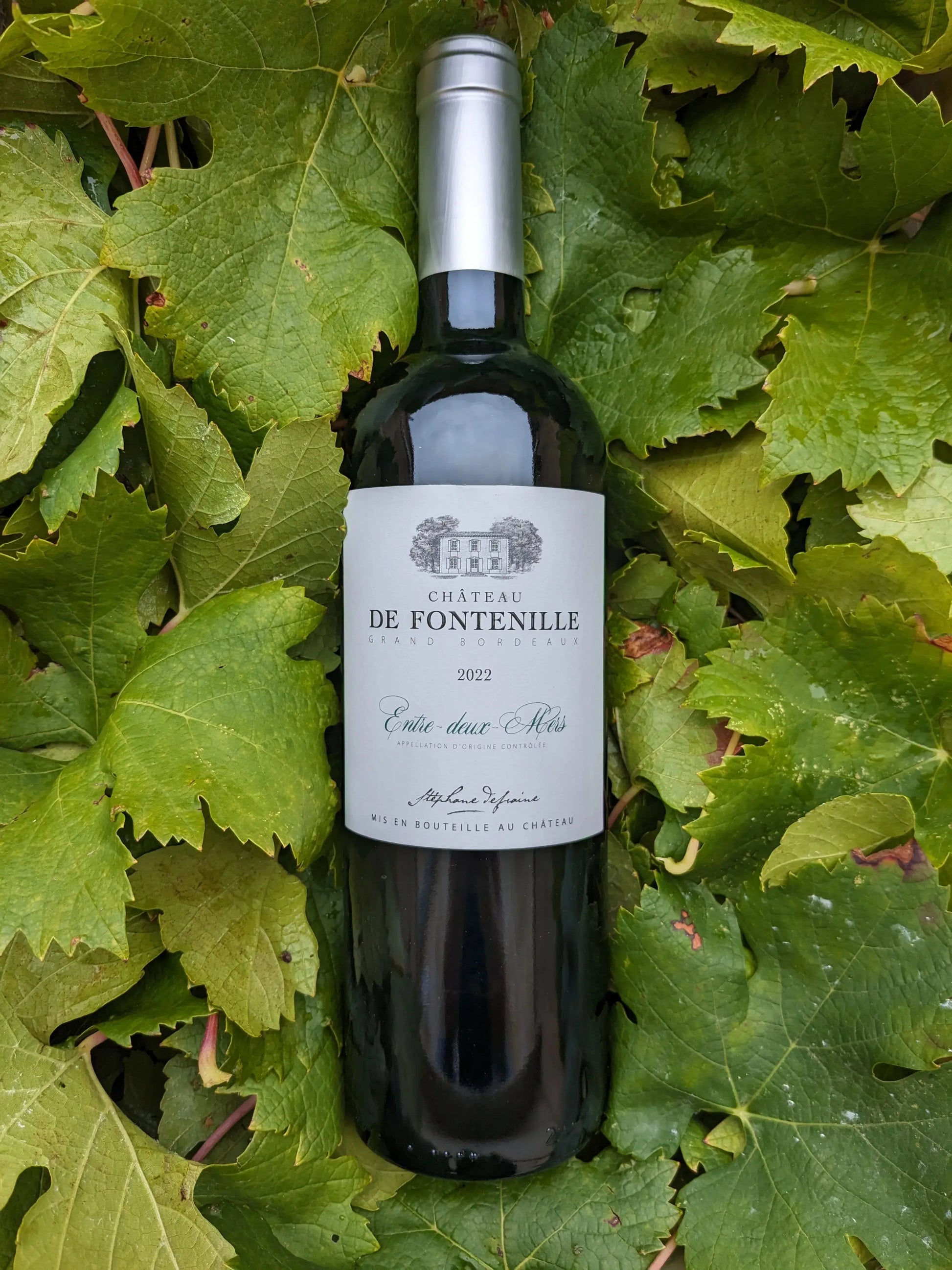 ENTRE-DEUX-MERS CHATEAU DE FONTENILLE