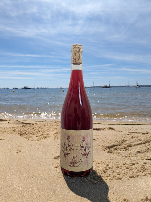 L’ÉPHÉMÈRE - 2024