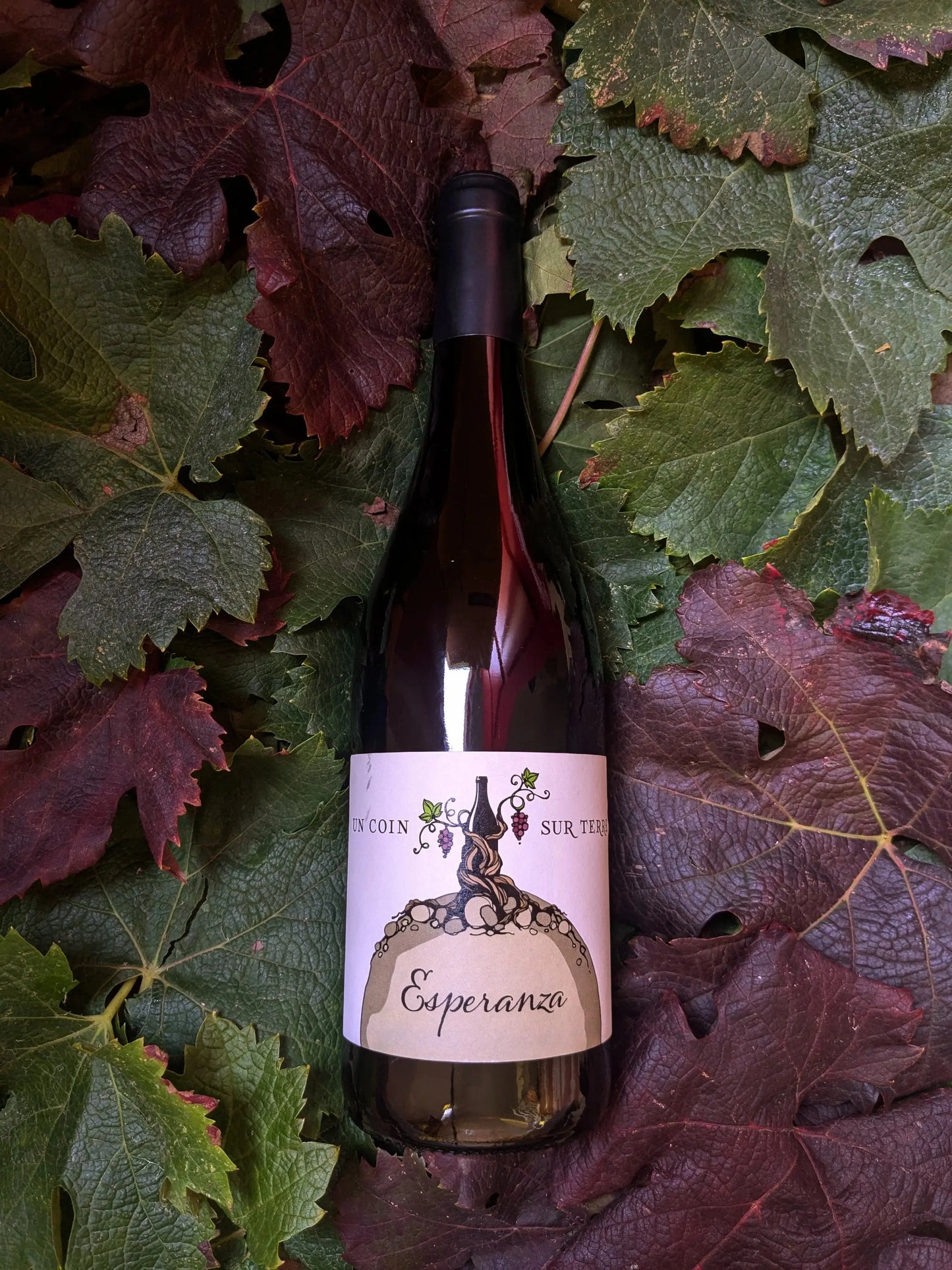 ESPERANZA UN COIN SUR TERRE