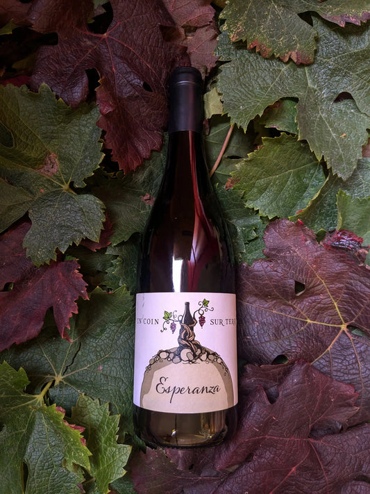 ESPERANZA UN COIN SUR TERRE