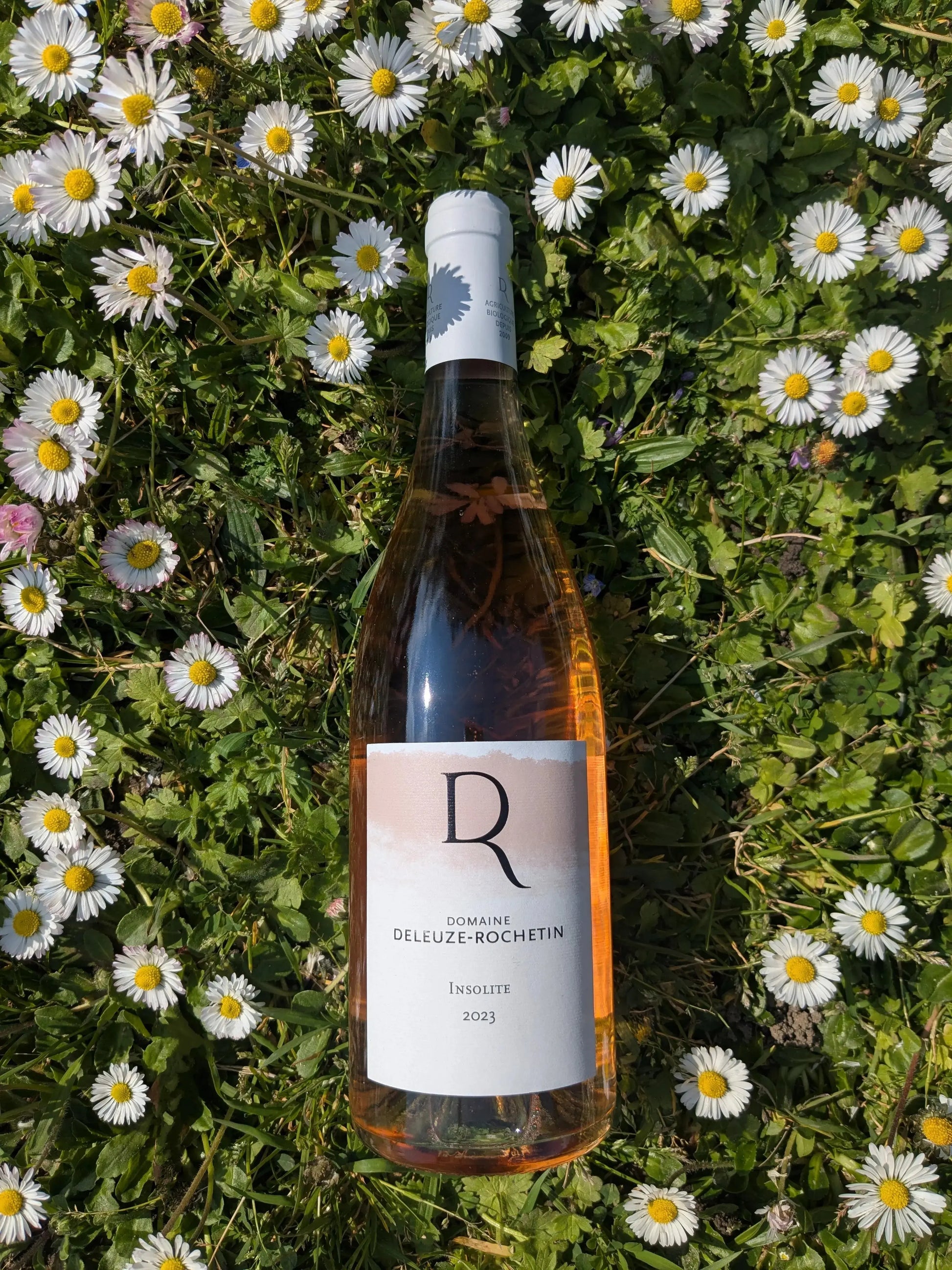 INSOLITE DOMAINE DELEUZE ROCHETIN