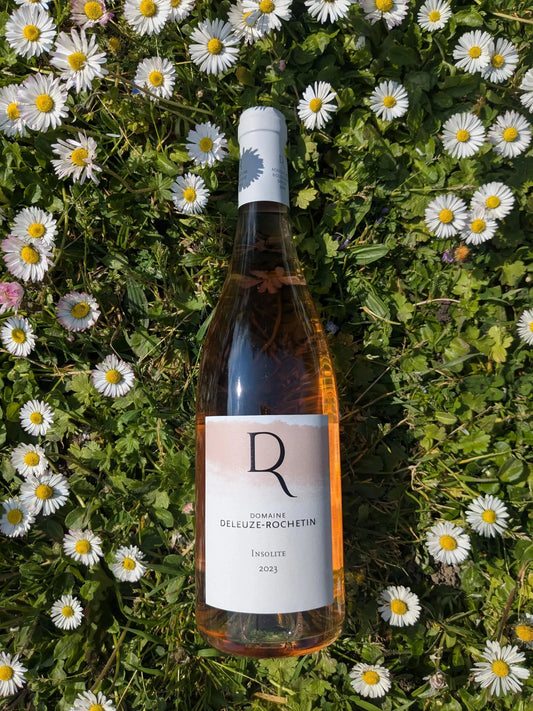 INSOLITE DOMAINE DELEUZE ROCHETIN