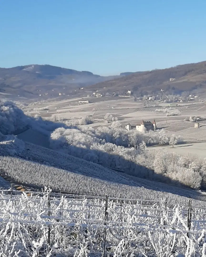 DOMAINE JOUBERT - PIF! La cave