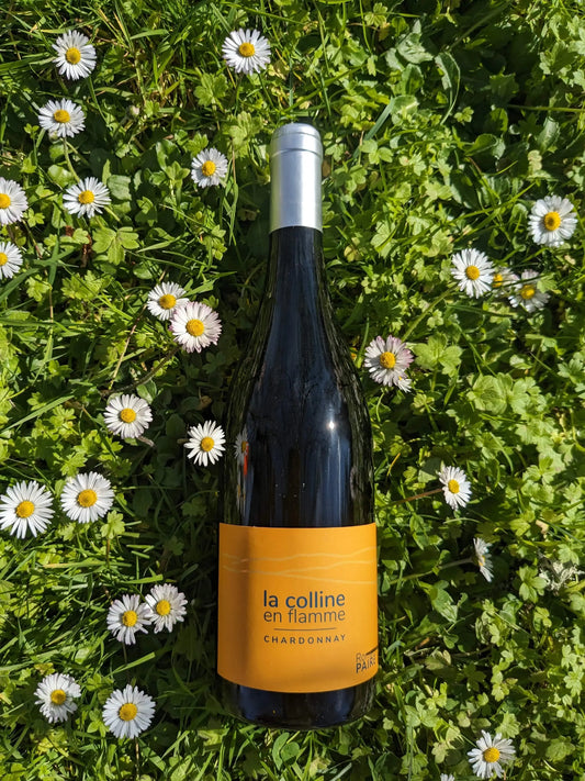 LA COLLINE EN FLAMME BLANC DOMAINE DES POTHIERS