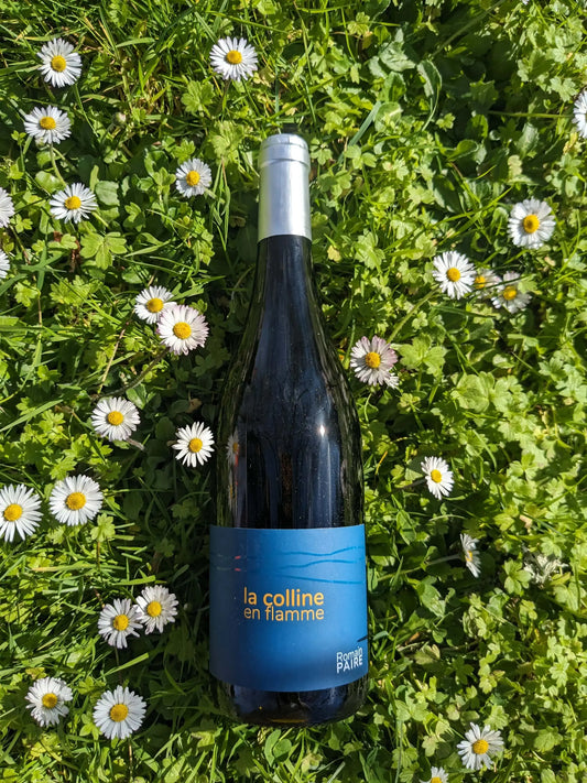 LA COLLINE EN FLAMME ROUGE DOMAINE DES POTHIERS