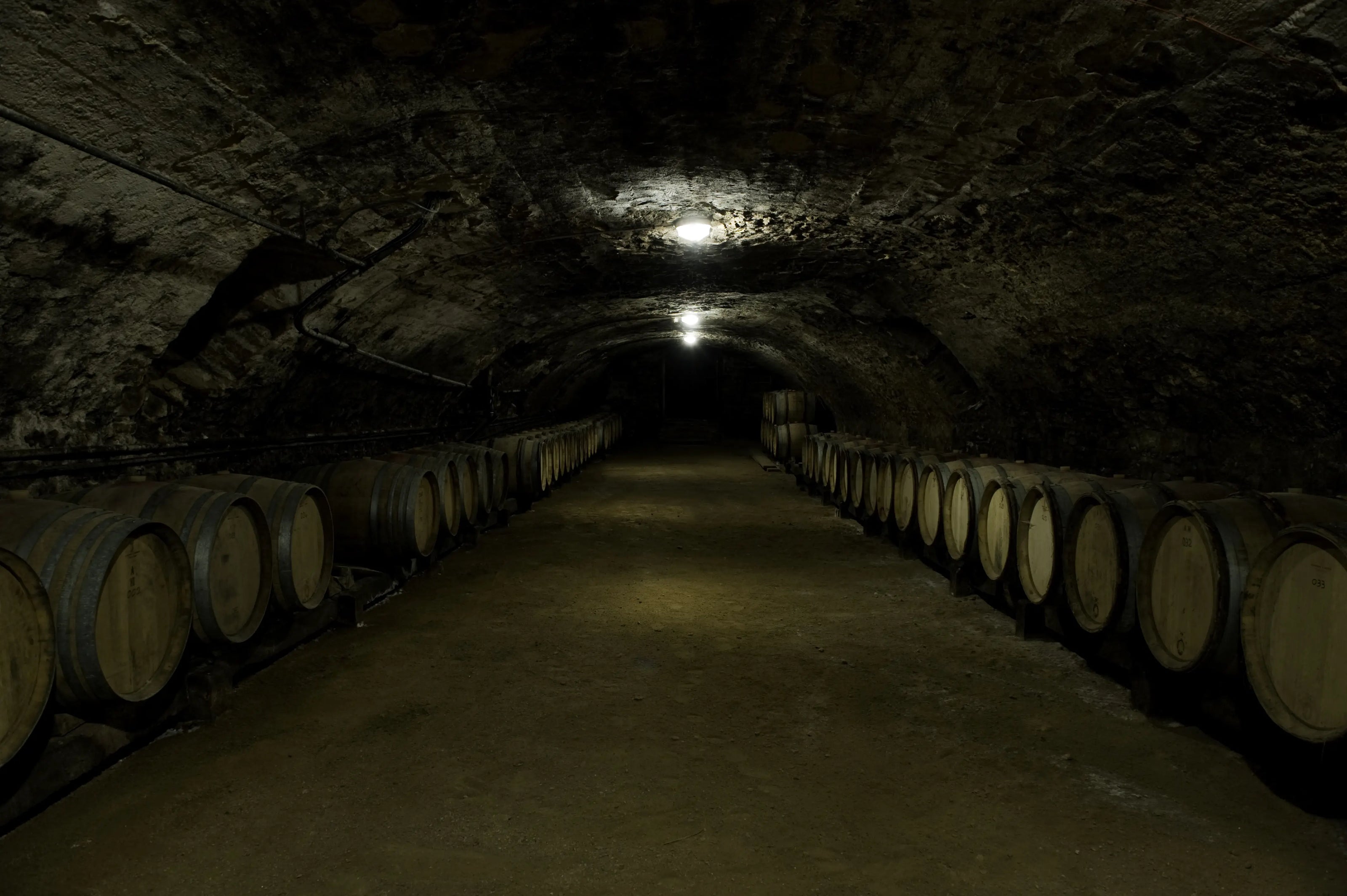 CHATEAU DE LAVERNETTE - PIF! La cave