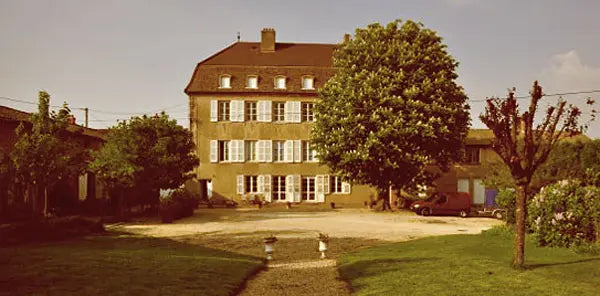 CHATEAU DE LAVERNETTE - PIF! La cave