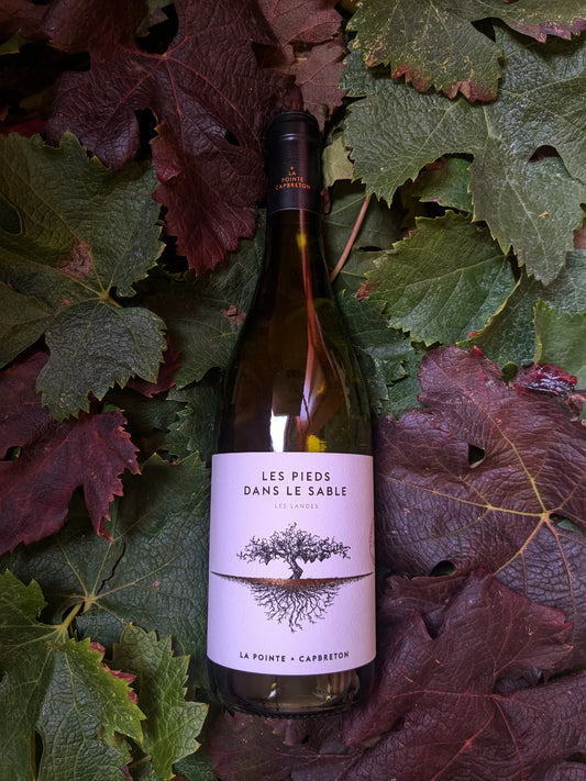 LES PIEDS DANS LE SABLE DOMAINE DE LA POINTE