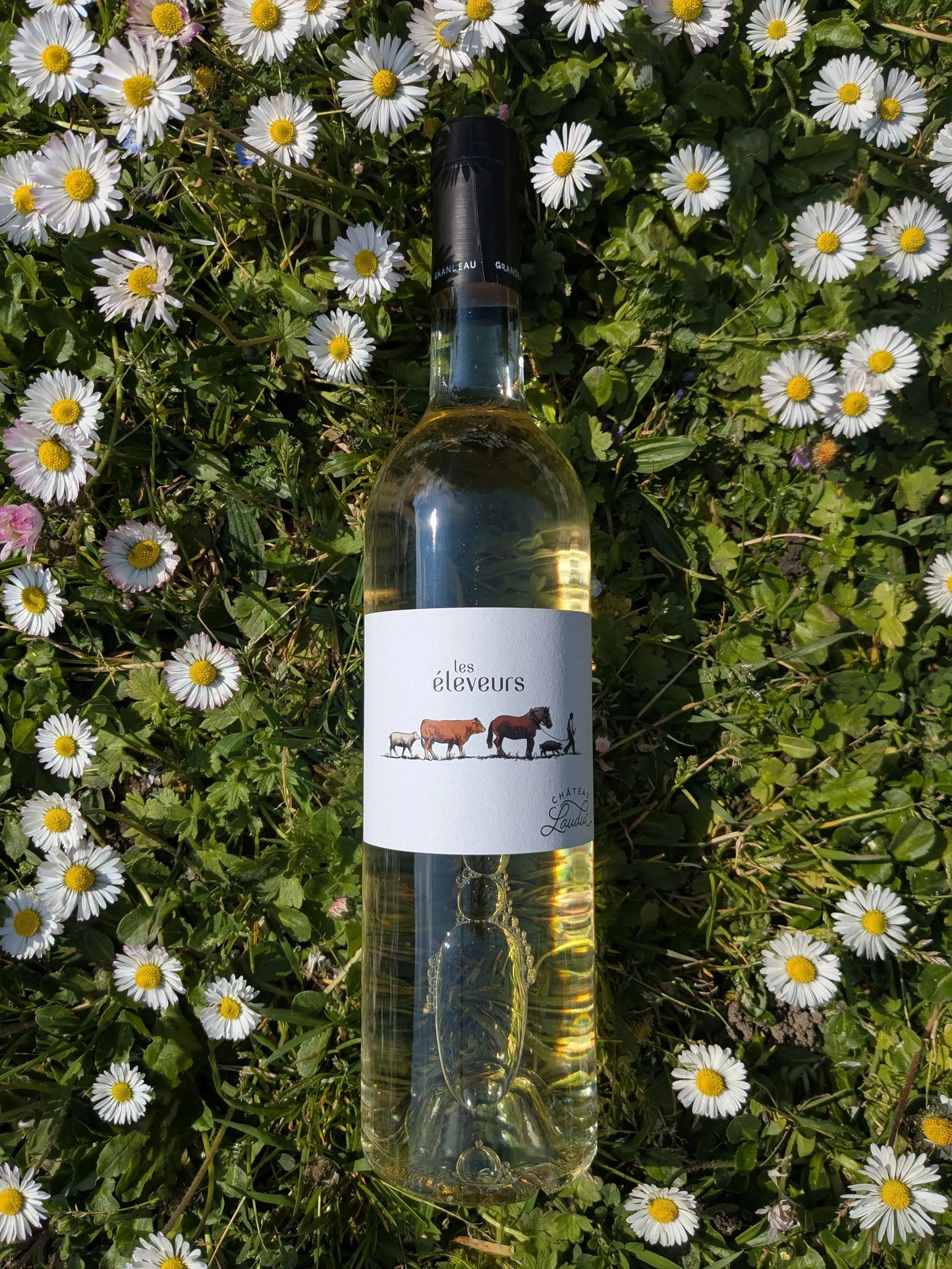 LES ÉLEVEURS BLANC CHATEAU LAUDUC