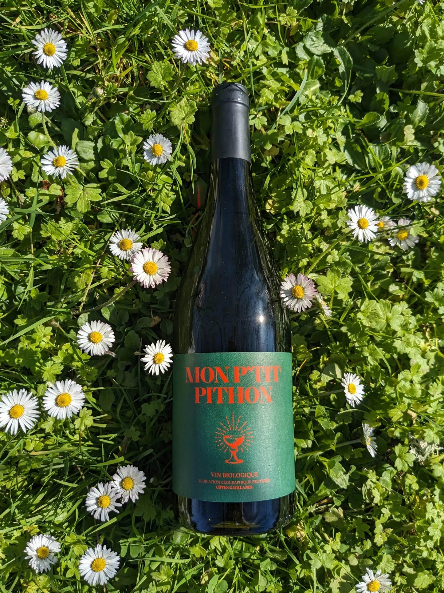 MON P'TIT PITHON ROUGE OLIVIER PITHON