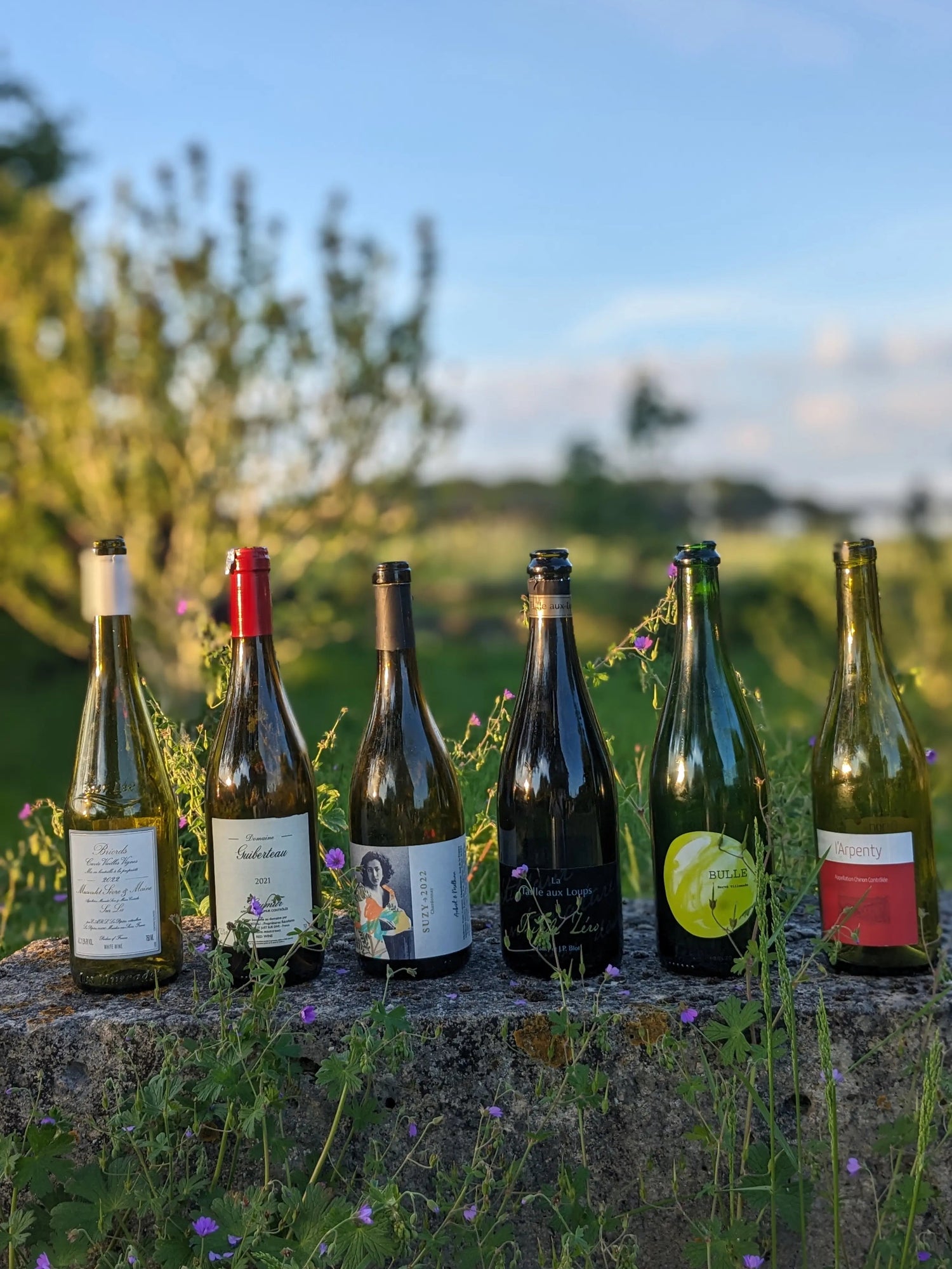 À PROPOS DE PIF - PIF! La cave