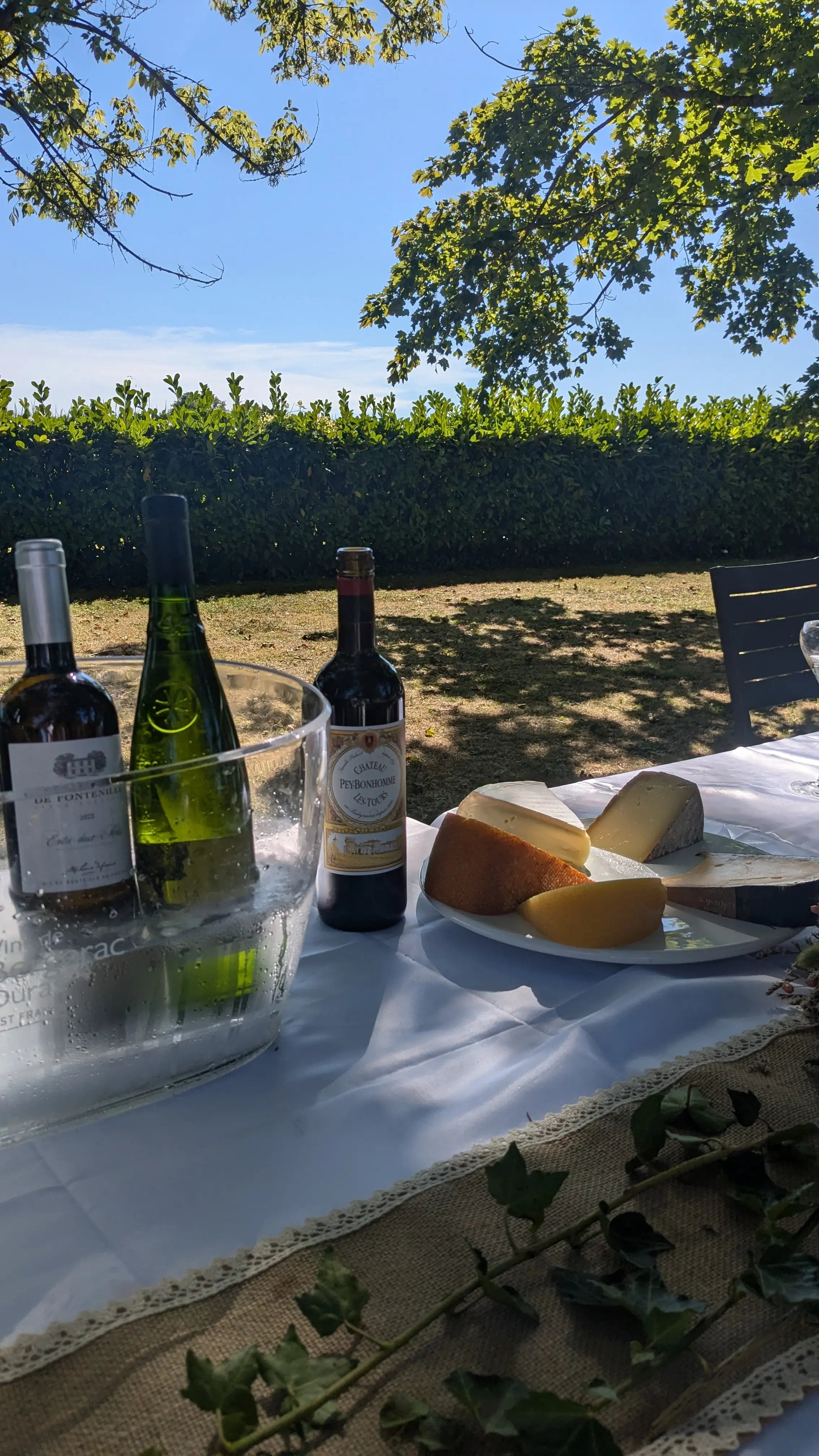 DÉGUSTATION À DOMICILE - PIF! La cave