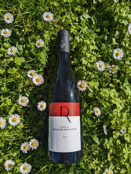 SABA DOMAINE DELEUZE ROCHETIN