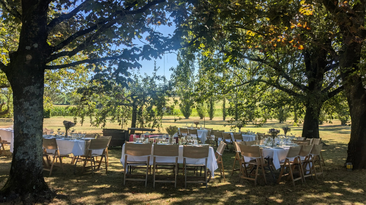 SÉLECTION DE PRINTEMPS - PIF! LA CAVE