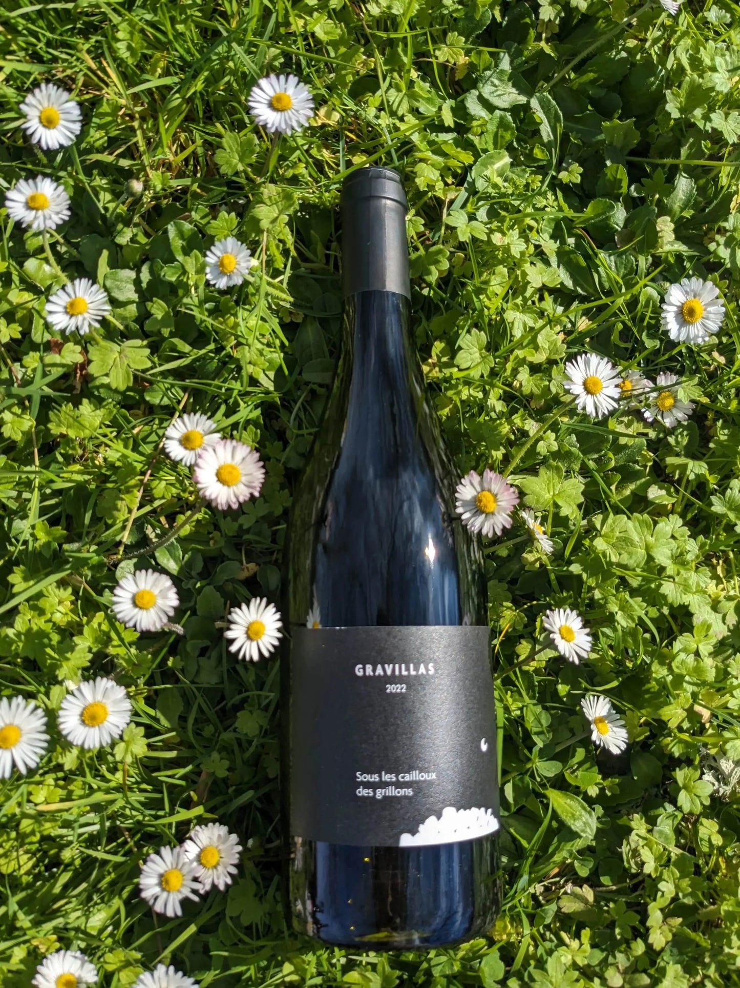 SOUS LES CAILLOUX DES GRILLONS CLOS DU GRAVILLAS