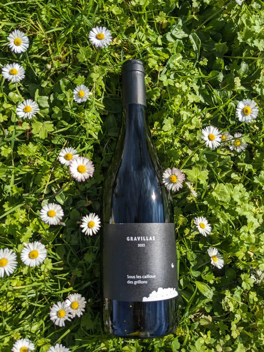 SOUS LES CAILLOUX DES GRILLONS CLOS DU GRAVILLAS