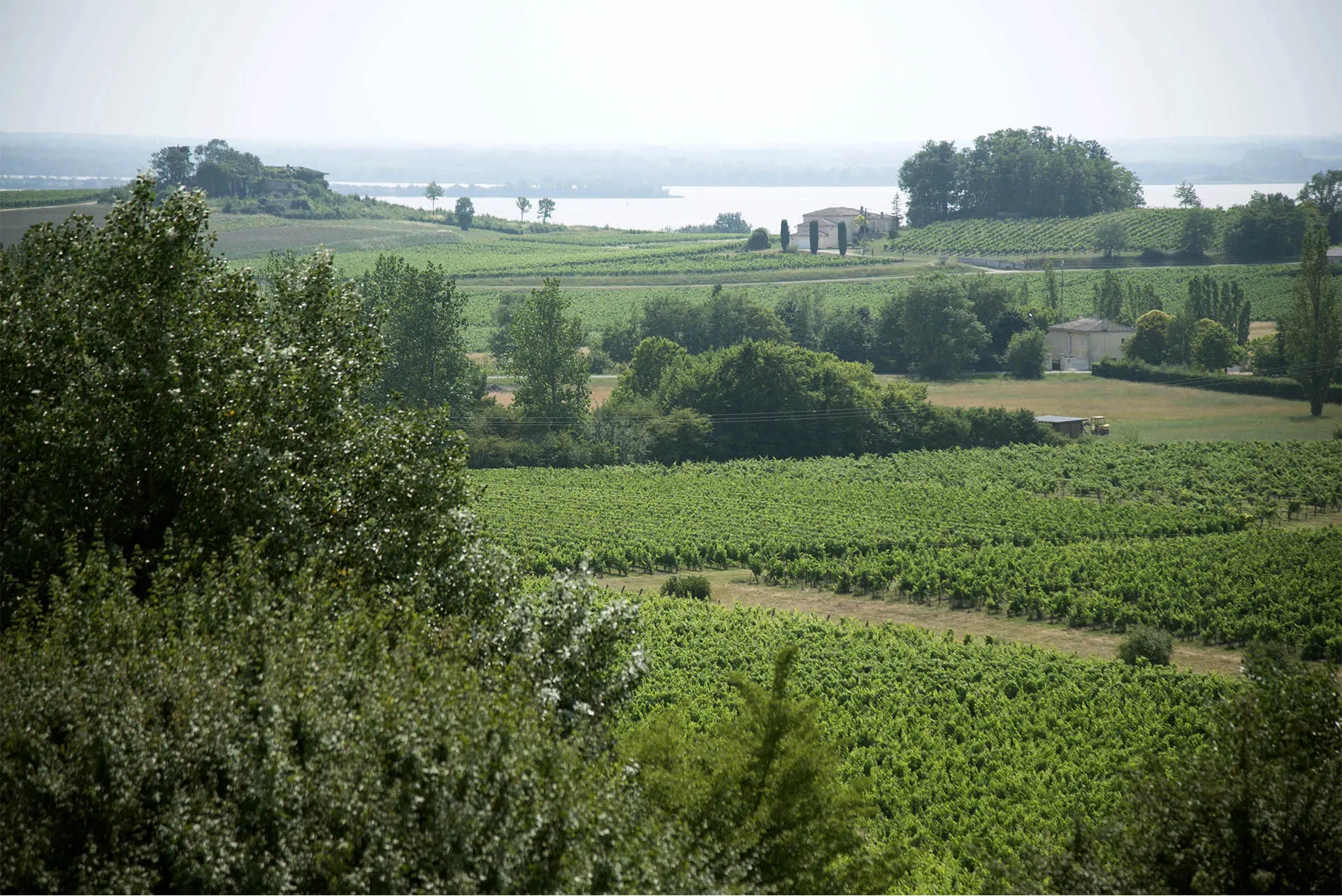 VIGNOBLES HUBERT - PIF! La cave