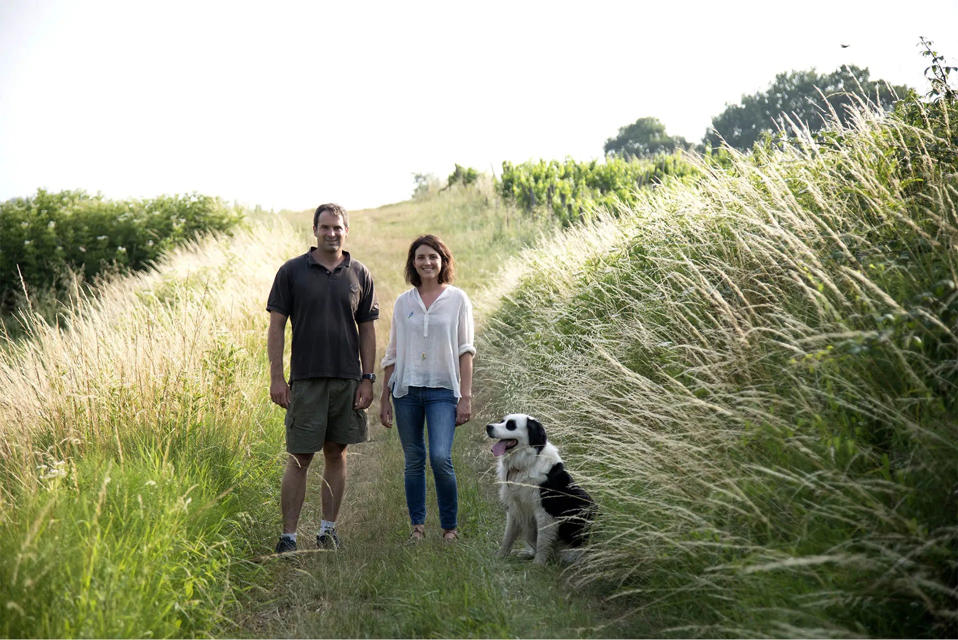 VIGNOBLES HUBERT - PIF! La cave