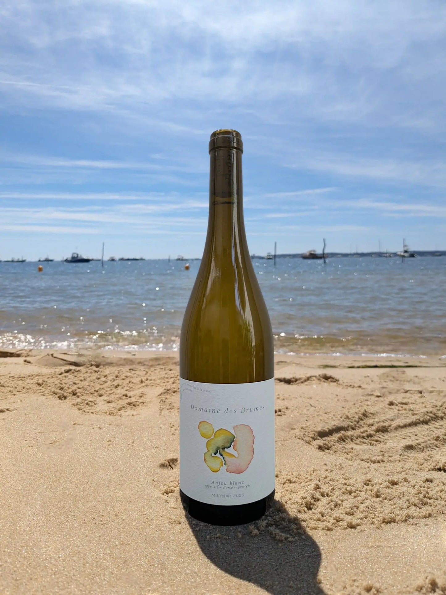 ANJOU BLANC