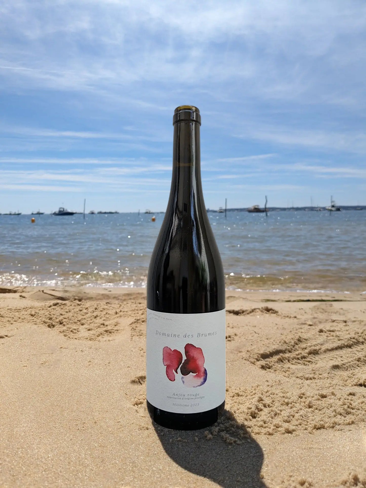ANJOU ROUGE