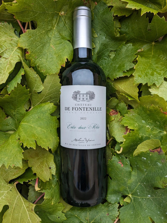 ENTRE-DEUX-MERS CHATEAU DE FONTENILLE