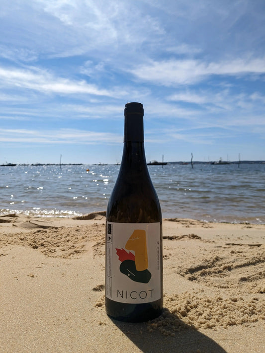 NICOT BLANC MAS DES AGRUNELLES