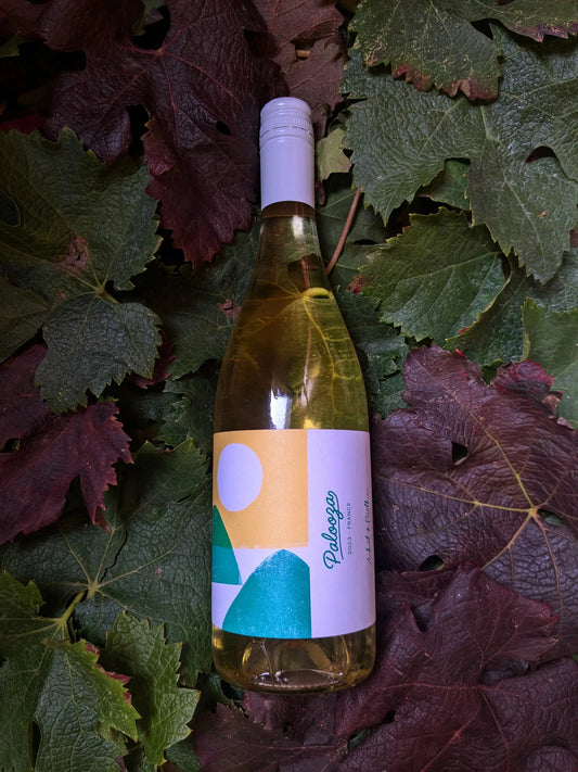 PALOOZA BLANC AUBERT & MATHIEU