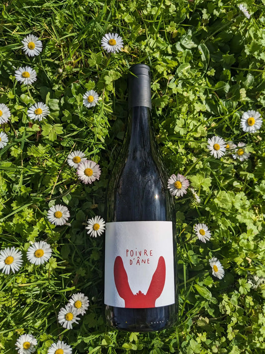 POIVRE D'ÂNE ROUGE POIVRE D'ÂNE